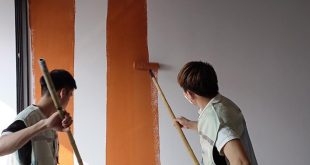 Cách chọn màu sơn tường nhà phù hợp