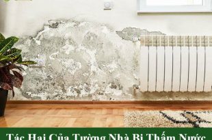 Các tác hại của tường nhà bị thấm nước