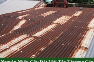 Nguyên nhân gây dột mái tôn thường gặp
