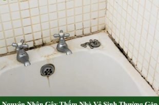 Nguyên nhân gây thấm nhà vệ sinh thường gặp