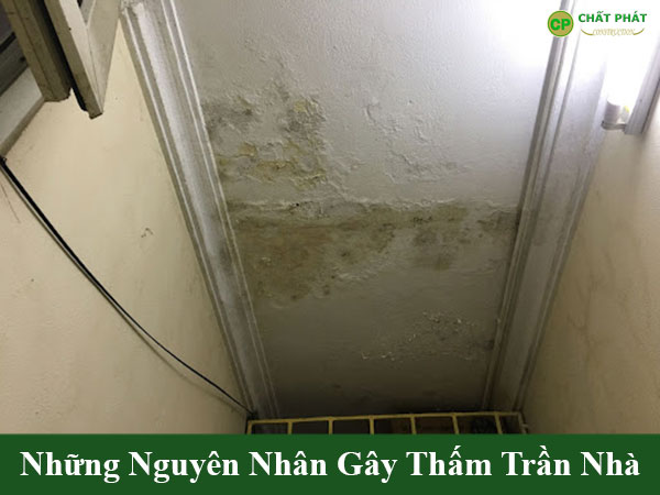 Những nguyên nhân gây thấm trần nhà