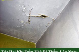 Tác hại khi trần nhà bị thấm lâu ngày