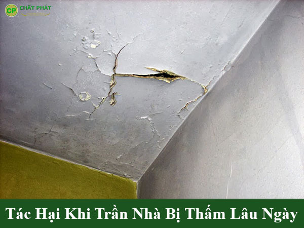 Tác hại khi trần nhà bị thấm lâu ngày