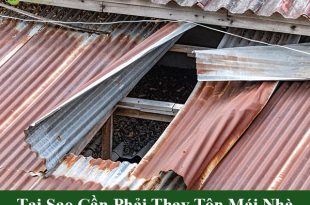 Tại sao cần phải thay tôn mái nhà?