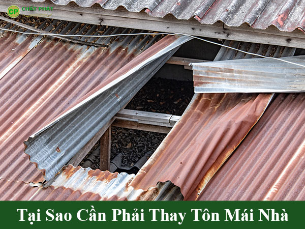 Tại sao cần phải thay tôn mái nhà?