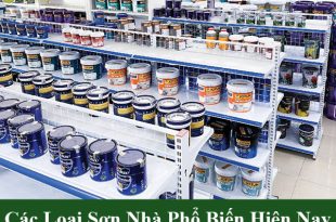 Các loại sơn nhà phổ biến hiện nay