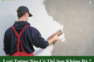 Loại tường nào có thể sơn không bả