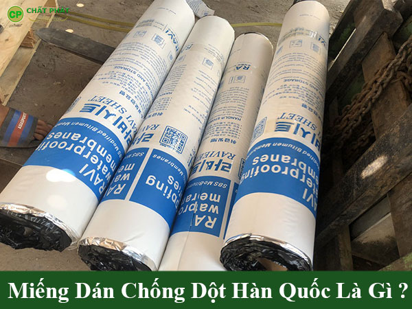 Miếng dán chống dột hàn quốc là gì?