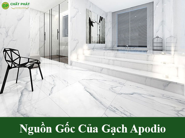 Nguồn gốc xuất xứ của gạch apodio