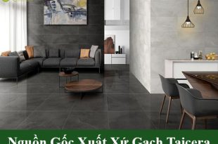 Nguồn gốc xuất xứ gạch taicera
