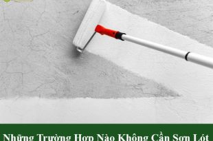 Những trường hợp nào không cần sơn lót
