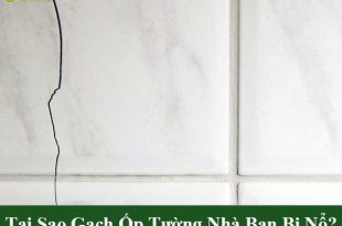 Vì sao gạch ốp tường nhà bạn bị nổ?