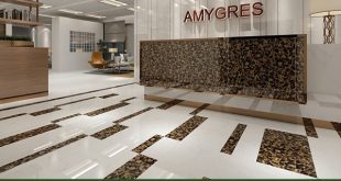 Gạch Amygres là gì?
