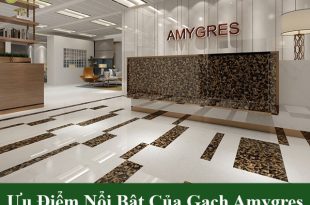 Gạch Amygres là gì?