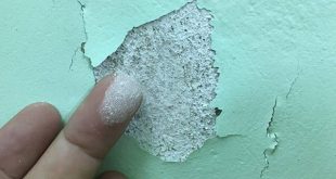 Cách sơn lại tường cũ bị bong tróc hiệu quả nhất